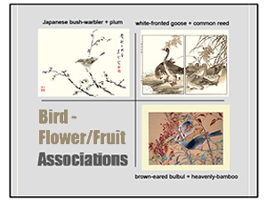 Bird-Flower/Fruit Associations Blog